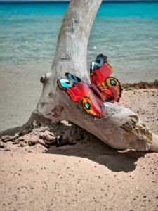 Broszka motyl Rusałka Edycja Limitowana