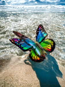 Duża broszka motyl Monarcha Edycja Limitowana