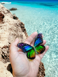 Duża broszka motyl Monarcha Edycja Limitowana