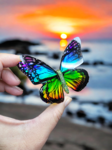 Duża broszka motyl Monarcha Edycja Limitowana